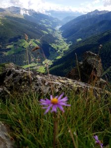 La vista dalla cima del Chiodo